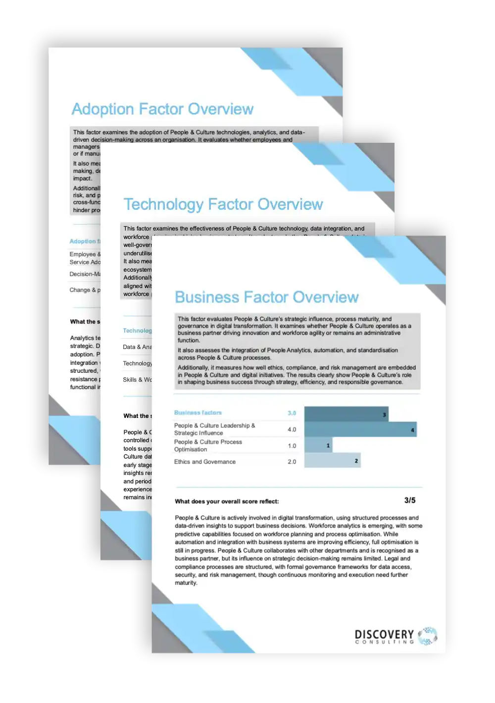 PCO Example Report Discovery Consulting