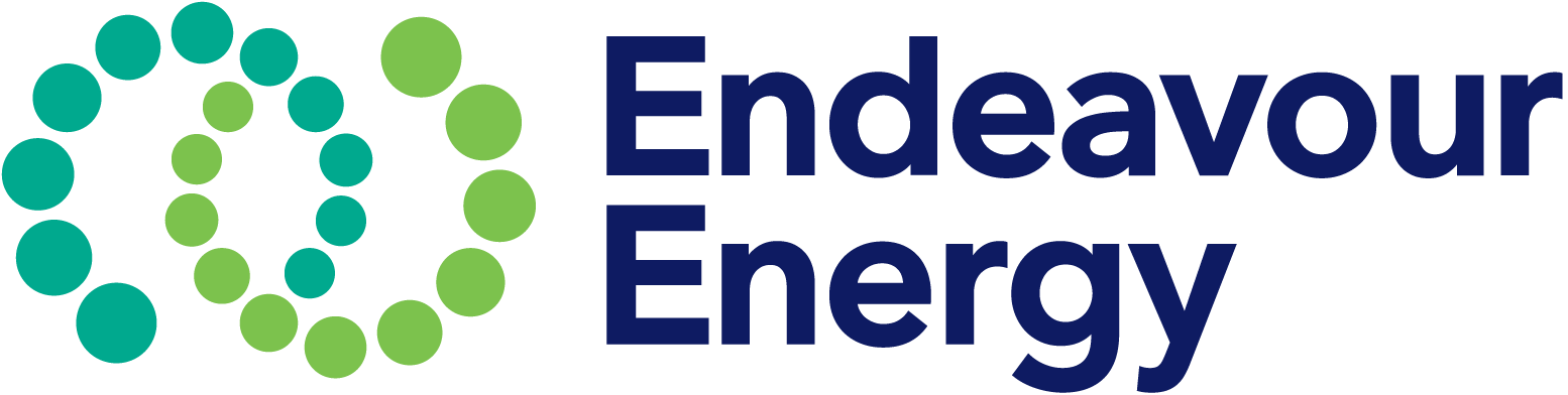 Logo of Endeavour, a client of Discovery Consulting